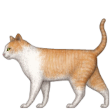 Emoji Natur-61
